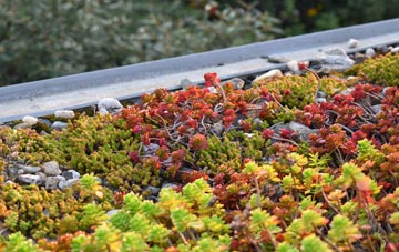 the cost of Brynamman green roof installation