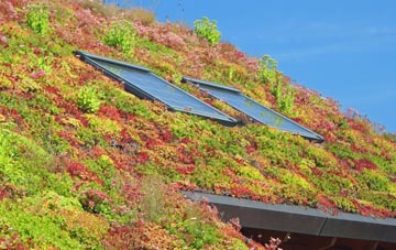 Brynamman living roof systems