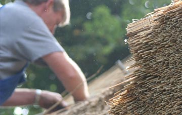 professional Brynamman thatchers